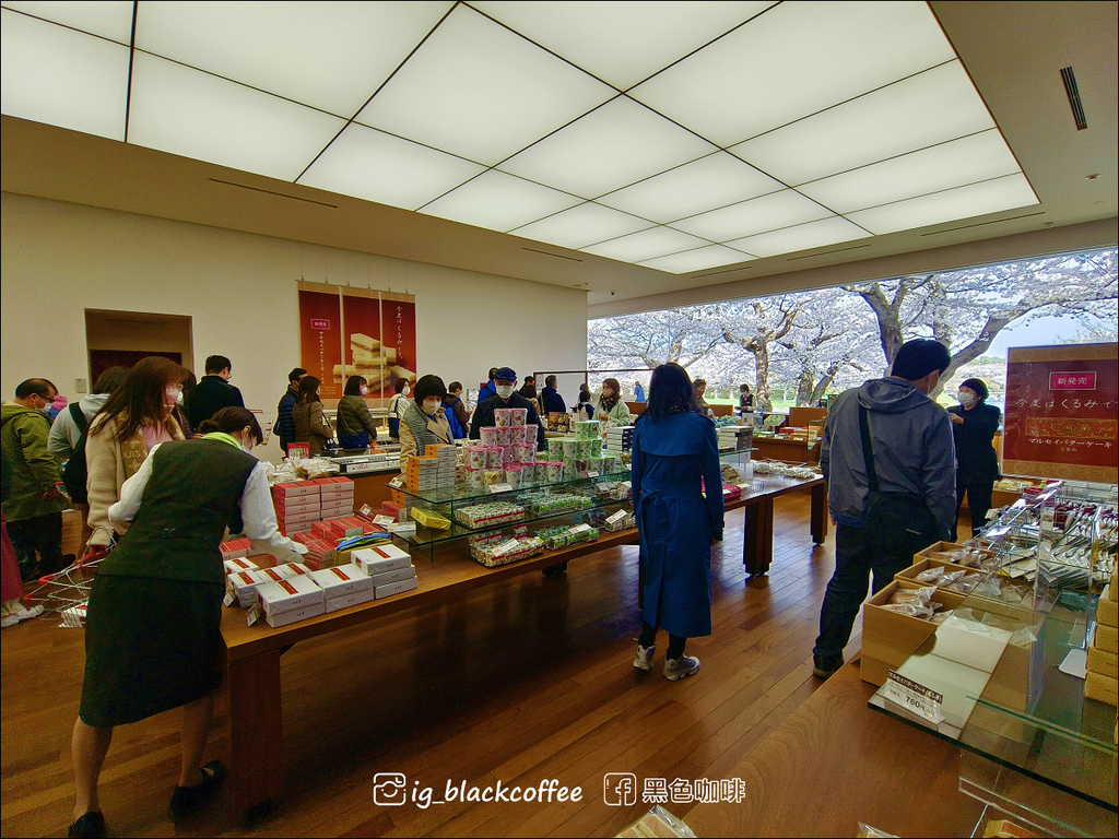 《賞櫻》【北海道.函館】五稜郭公園.賞櫻名勝百選名所|六花亭 《賞櫻》【北海道.函館】五稜郭公園.賞櫻名勝百選名所|六花亭