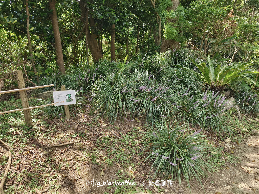 【沖繩.南部】世界遺產.識名園 【沖繩.南部】世界遺產.識名園