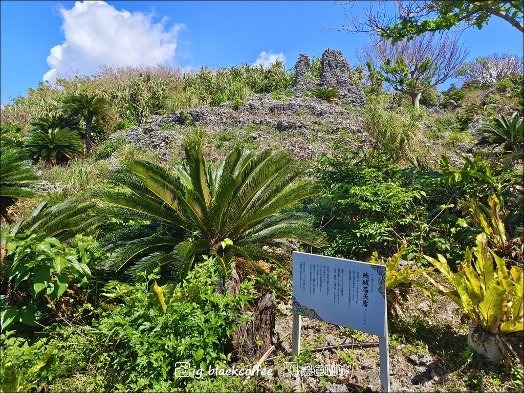 【沖繩．中部】宮城島｜絕景果報バンタ (果報崖)、命御庭 製