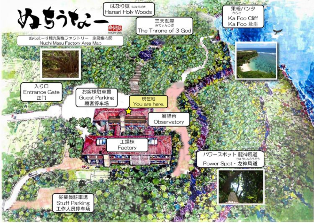 【沖繩．中部】宮城島｜絕景果報バンタ (果報崖)、命御庭 製