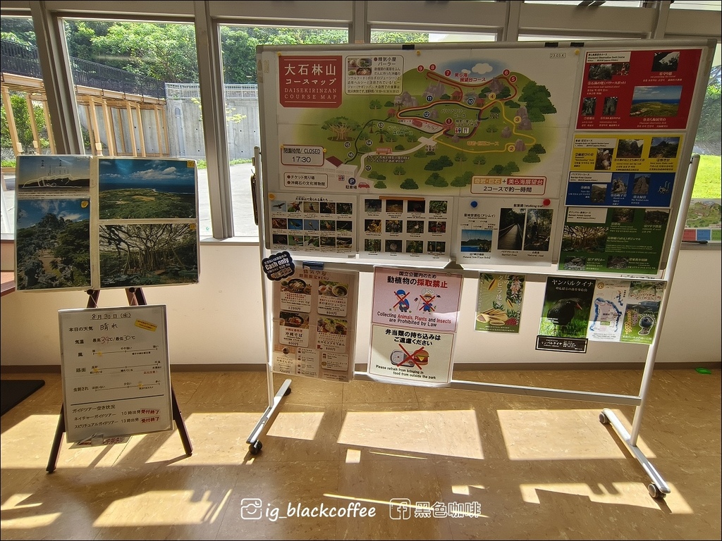 【沖繩.北部】山原國立公園.大石林山,4條路線完整介紹 【沖繩.北部】山原國立公園.大石林山,4條路線完整介紹