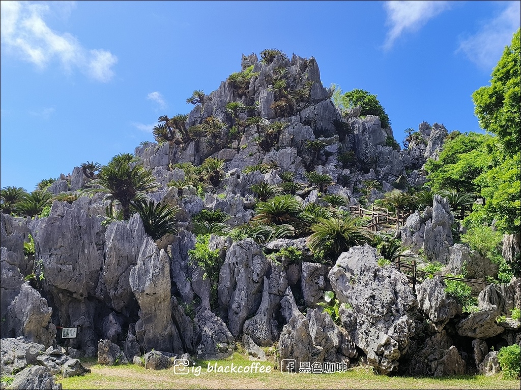 【沖繩.北部】山原國立公園.大石林山,4條路線完整介紹 【沖繩.北部】山原國立公園.大石林山,4條路線完整介紹