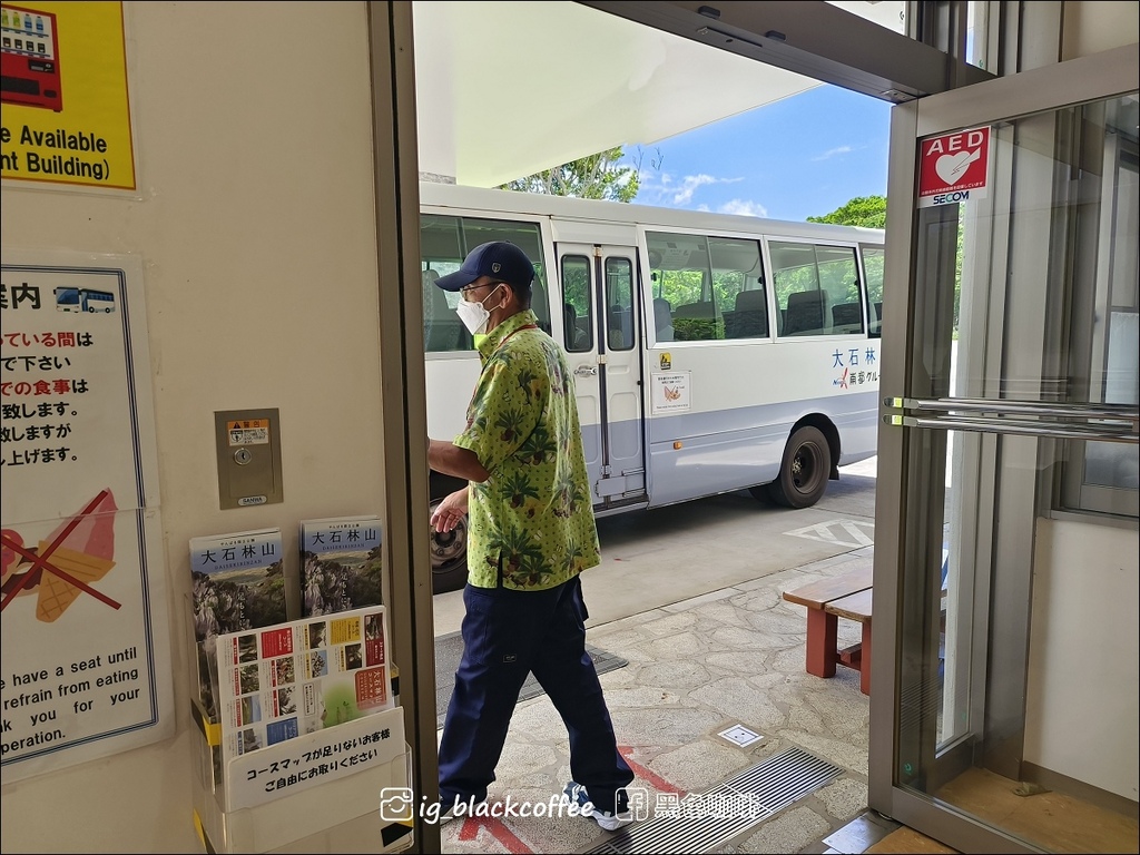 【沖繩.北部】山原國立公園.大石林山,4條路線完整介紹 【沖繩.北部】山原國立公園.大石林山,4條路線完整介紹