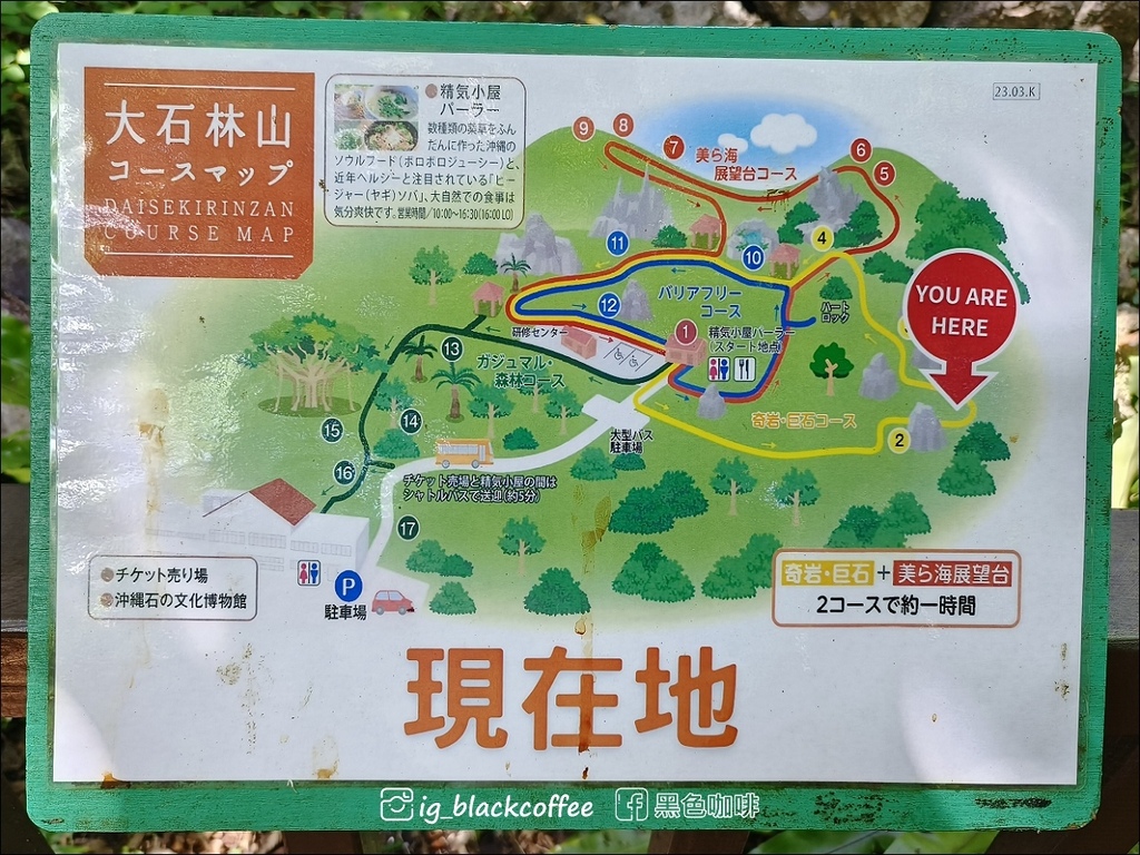 【沖繩.北部】山原國立公園.大石林山,4條路線完整介紹 【沖繩.北部】山原國立公園.大石林山,4條路線完整介紹