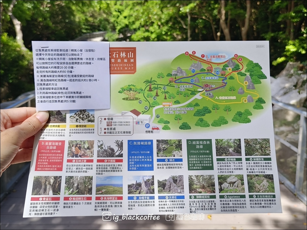【沖繩.北部】山原國立公園.大石林山,4條路線完整介紹 【沖繩.北部】山原國立公園.大石林山,4條路線完整介紹