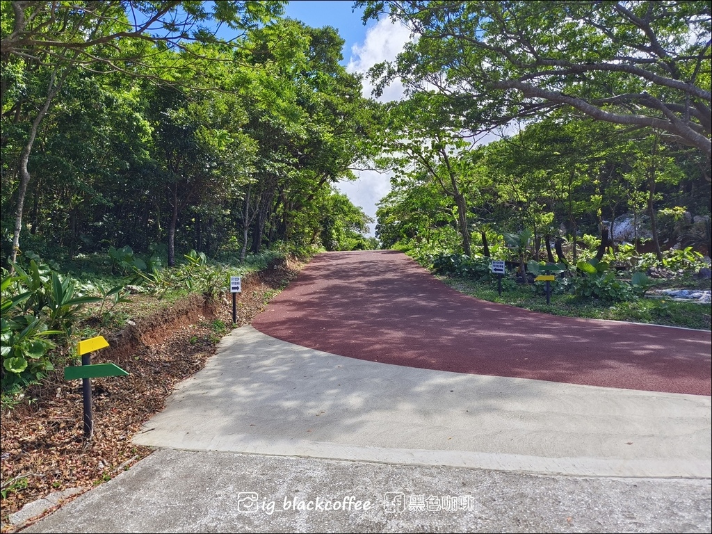 【沖繩.北部】山原國立公園.大石林山,4條路線完整介紹 【沖繩.北部】山原國立公園.大石林山,4條路線完整介紹