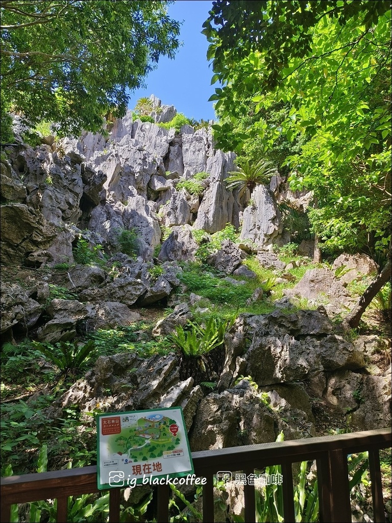 【沖繩.北部】山原國立公園.大石林山,4條路線完整介紹 【沖繩.北部】山原國立公園.大石林山,4條路線完整介紹