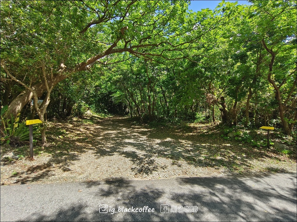 【沖繩.北部】山原國立公園.大石林山,4條路線完整介紹 【沖繩.北部】山原國立公園.大石林山,4條路線完整介紹