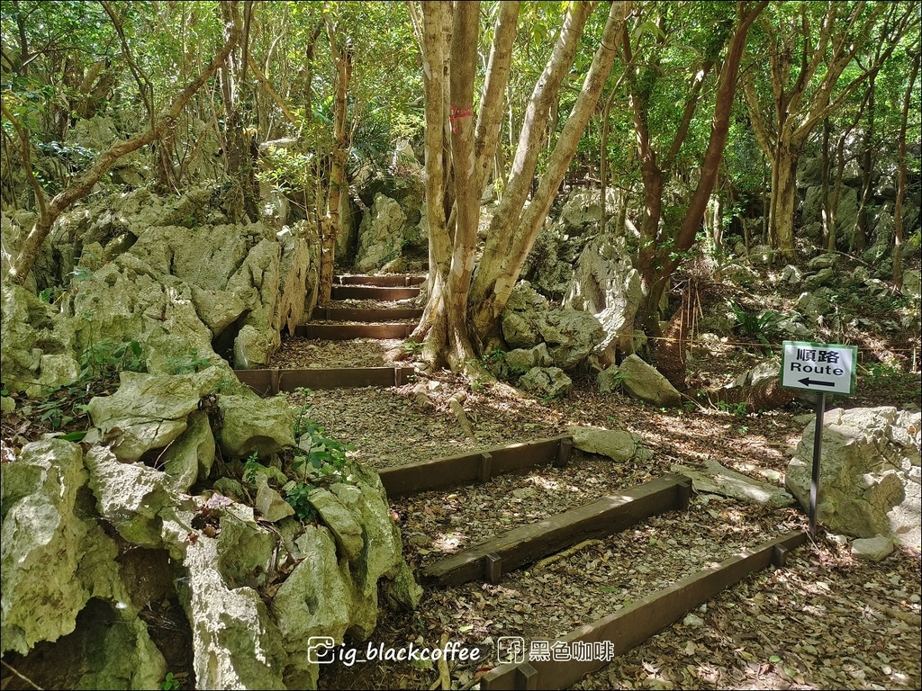 【沖繩.北部】山原國立公園.大石林山,4條路線完整介紹 【沖繩.北部】山原國立公園.大石林山,4條路線完整介紹