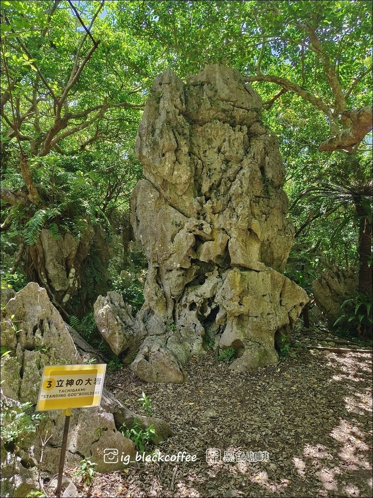 【沖繩.北部】山原國立公園.大石林山,4條路線完整介紹 【沖繩.北部】山原國立公園.大石林山,4條路線完整介紹