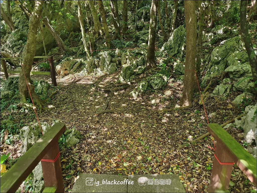 【沖繩.北部】山原國立公園.大石林山,4條路線完整介紹 【沖繩.北部】山原國立公園.大石林山,4條路線完整介紹