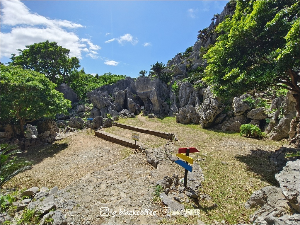 【沖繩.北部】山原國立公園.大石林山,4條路線完整介紹 【沖繩.北部】山原國立公園.大石林山,4條路線完整介紹