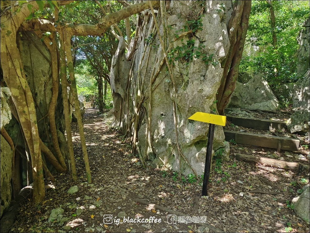 【沖繩.北部】山原國立公園.大石林山,4條路線完整介紹 【沖繩.北部】山原國立公園.大石林山,4條路線完整介紹
