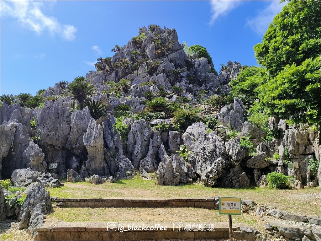 【沖繩.北部】山原國立公園.大石林山,4條路線完整介紹 【沖繩.北部】山原國立公園.大石林山,4條路線完整介紹