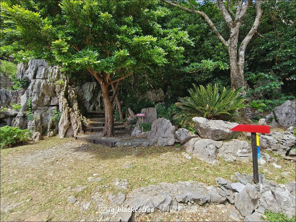 【沖繩.北部】山原國立公園.大石林山,4條路線完整介紹 【沖繩.北部】山原國立公園.大石林山,4條路線完整介紹