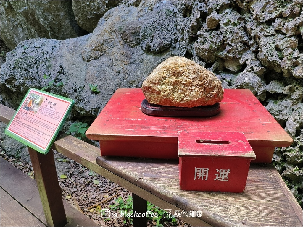 【沖繩.北部】山原國立公園.大石林山,4條路線完整介紹 【沖繩.北部】山原國立公園.大石林山,4條路線完整介紹