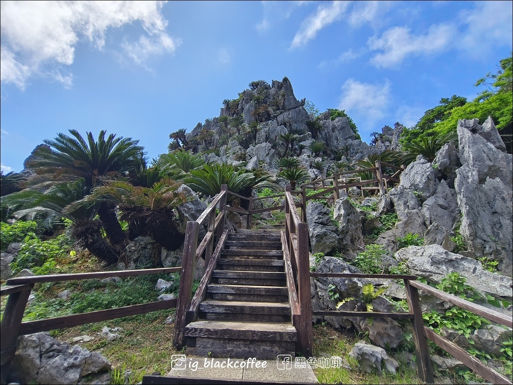 【沖繩.北部】山原國立公園.大石林山,4條路線完整介紹 【沖繩.北部】山原國立公園.大石林山,4條路線完整介紹