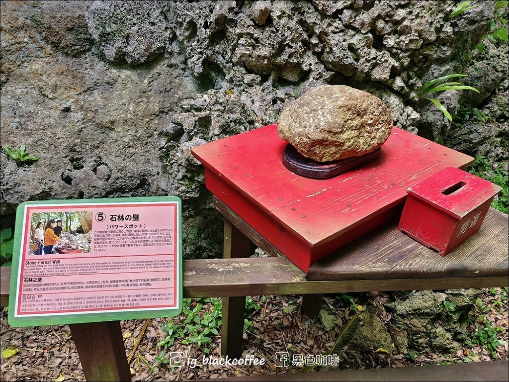 【沖繩.北部】山原國立公園.大石林山,4條路線完整介紹 【沖繩.北部】山原國立公園.大石林山,4條路線完整介紹
