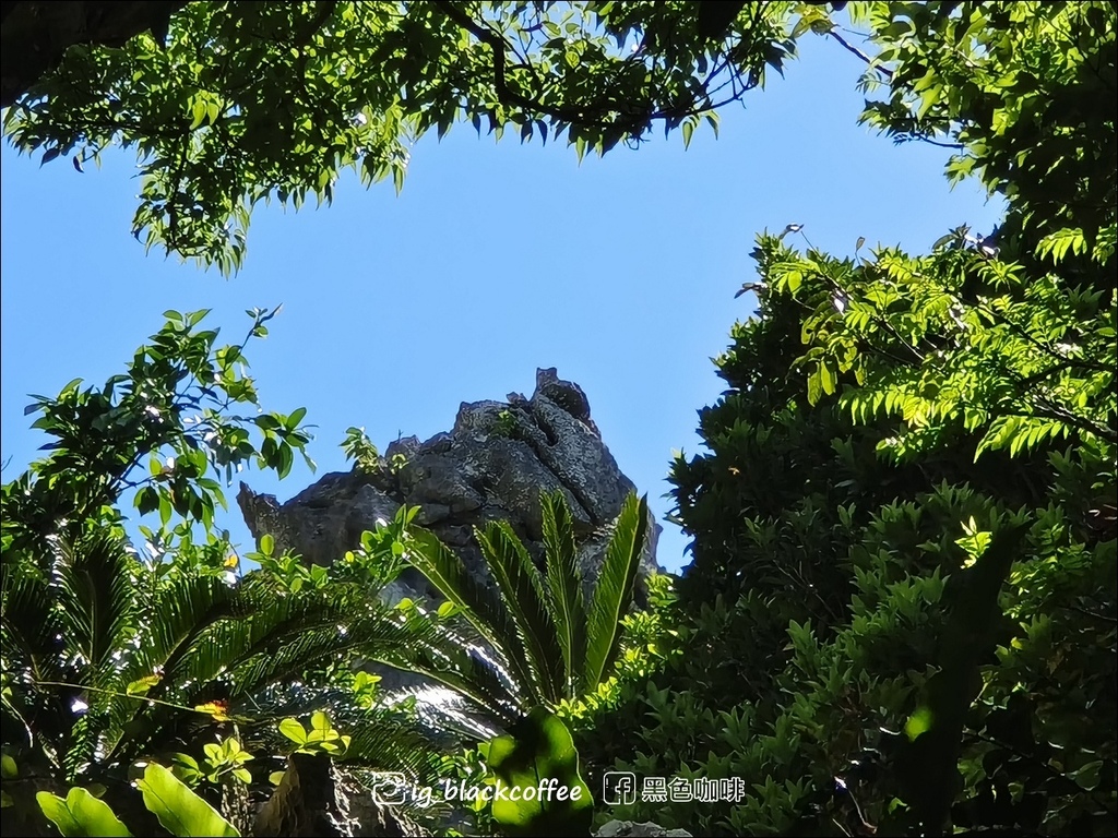 【沖繩.北部】山原國立公園.大石林山,4條路線完整介紹 【沖繩.北部】山原國立公園.大石林山,4條路線完整介紹