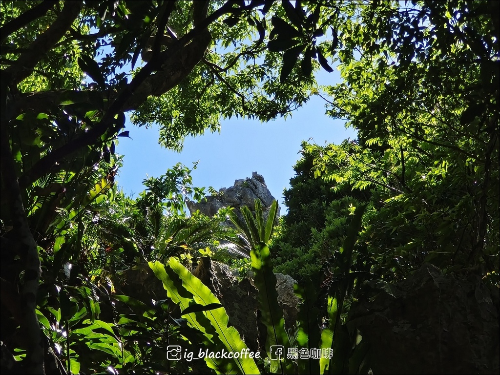 【沖繩.北部】山原國立公園.大石林山,4條路線完整介紹 【沖繩.北部】山原國立公園.大石林山,4條路線完整介紹
