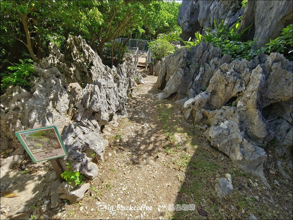 【沖繩.北部】山原國立公園.大石林山,4條路線完整介紹 【沖繩.北部】山原國立公園.大石林山,4條路線完整介紹