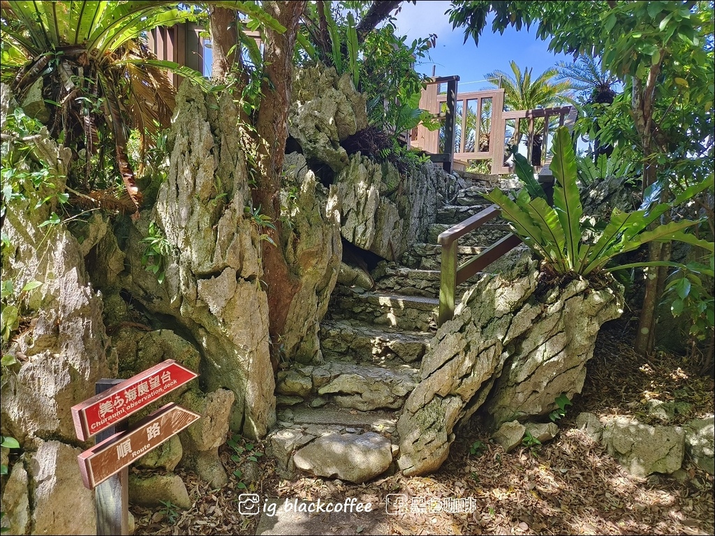 【沖繩.北部】山原國立公園.大石林山,4條路線完整介紹 【沖繩.北部】山原國立公園.大石林山,4條路線完整介紹