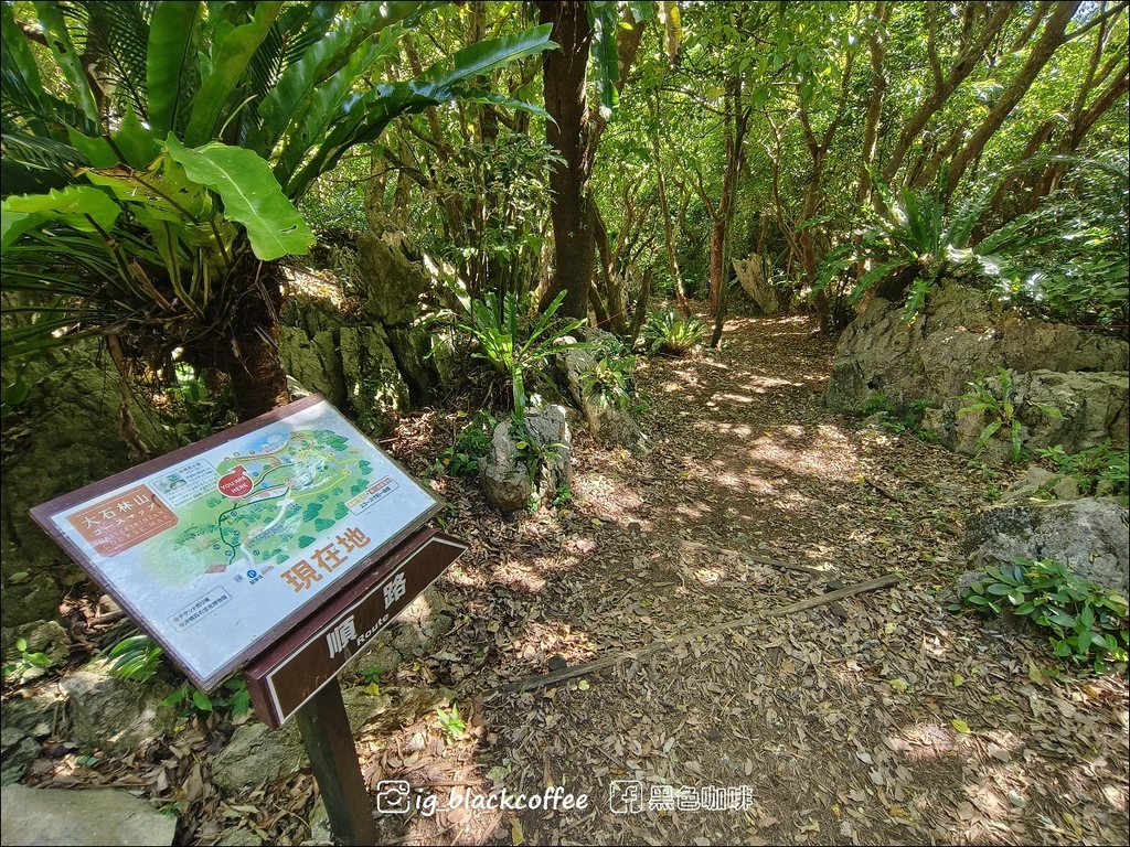 【沖繩.北部】山原國立公園.大石林山,4條路線完整介紹 【沖繩.北部】山原國立公園.大石林山,4條路線完整介紹