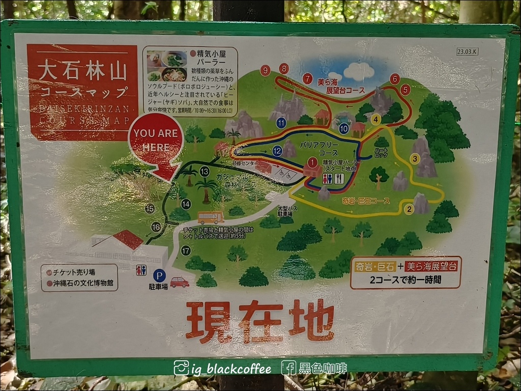 【沖繩.北部】山原國立公園.大石林山,4條路線完整介紹 【沖繩.北部】山原國立公園.大石林山,4條路線完整介紹