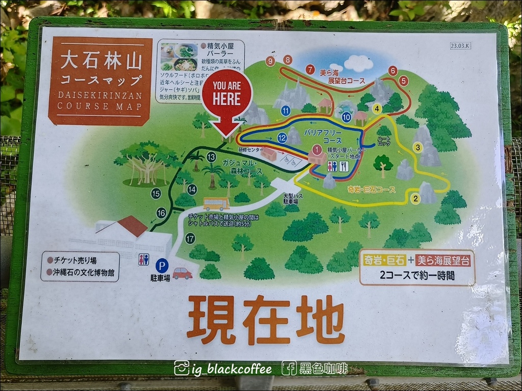 【沖繩.北部】山原國立公園.大石林山,4條路線完整介紹 【沖繩.北部】山原國立公園.大石林山,4條路線完整介紹