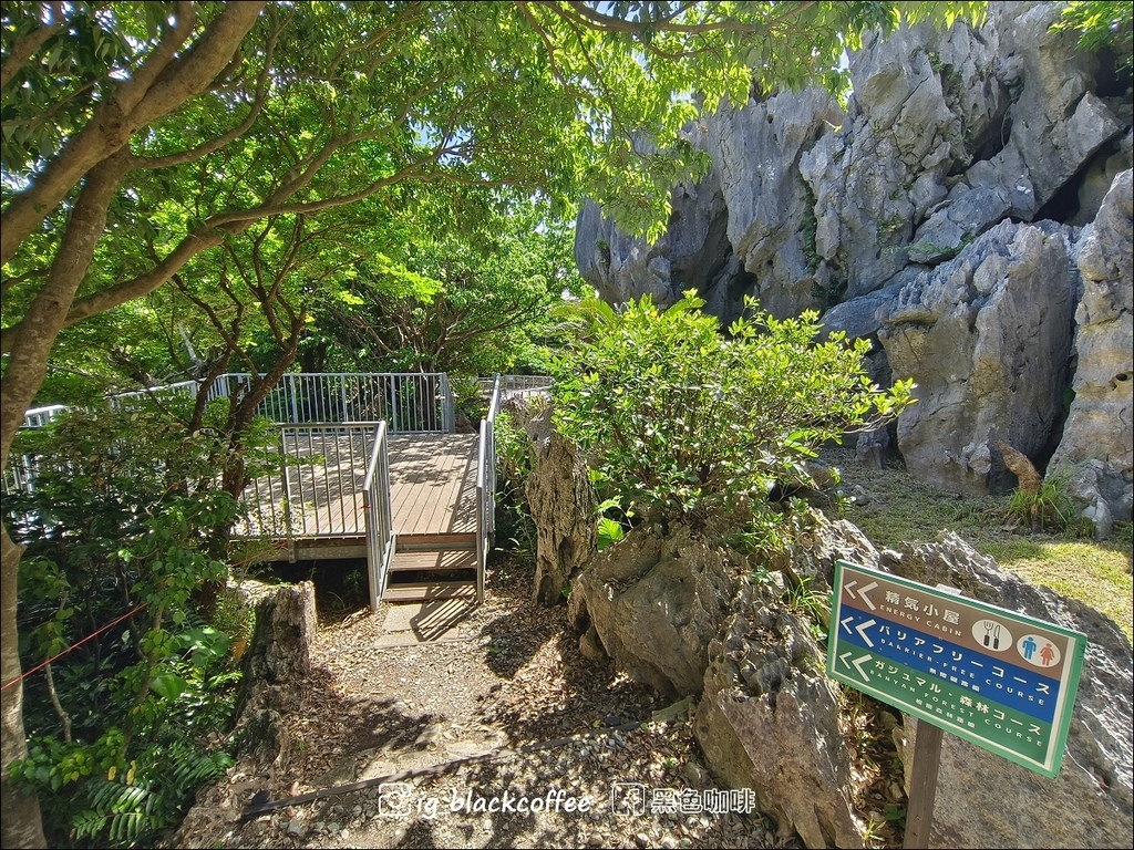 【沖繩.北部】山原國立公園.大石林山,4條路線完整介紹 【沖繩.北部】山原國立公園.大石林山,4條路線完整介紹