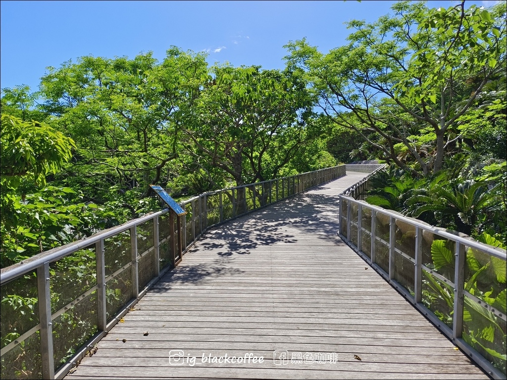 【沖繩.北部】山原國立公園.大石林山,4條路線完整介紹 【沖繩.北部】山原國立公園.大石林山,4條路線完整介紹