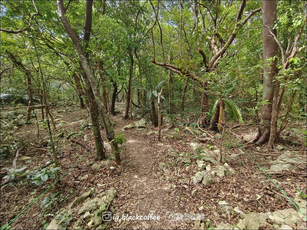 【沖繩.北部】山原國立公園.大石林山,4條路線完整介紹 【沖繩.北部】山原國立公園.大石林山,4條路線完整介紹
