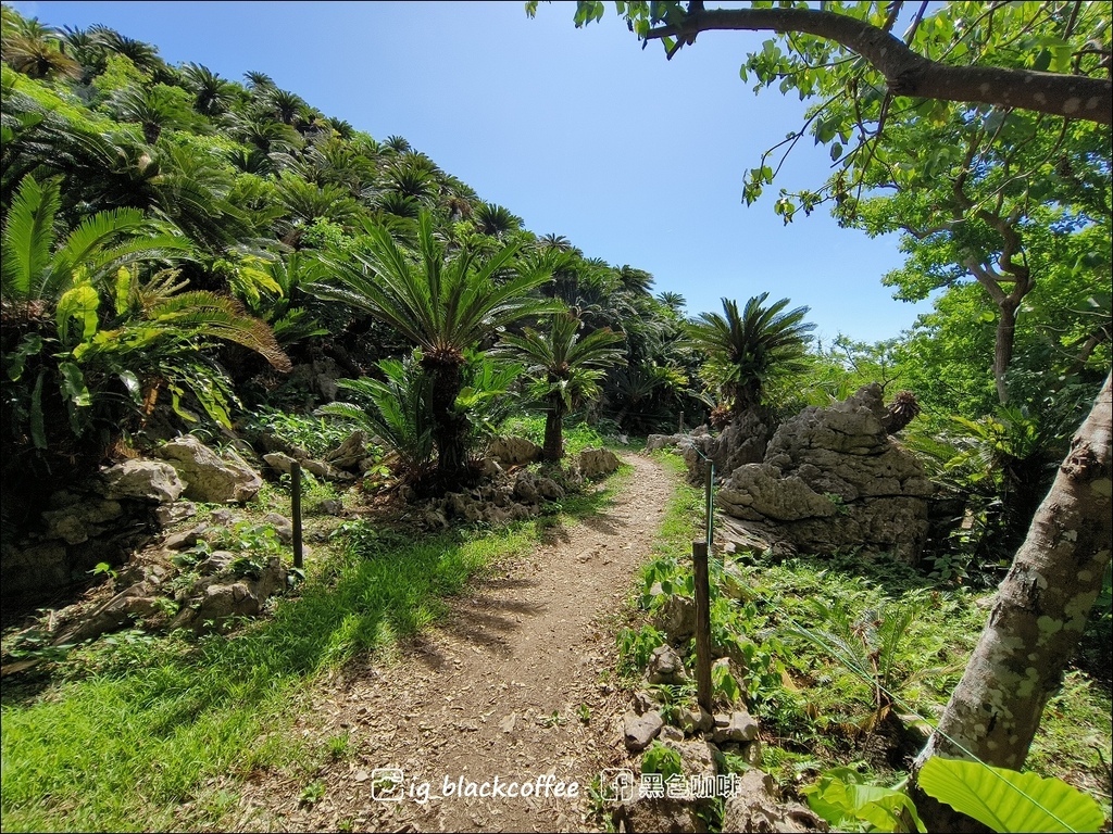 【沖繩.北部】山原國立公園.大石林山,4條路線完整介紹 【沖繩.北部】山原國立公園.大石林山,4條路線完整介紹