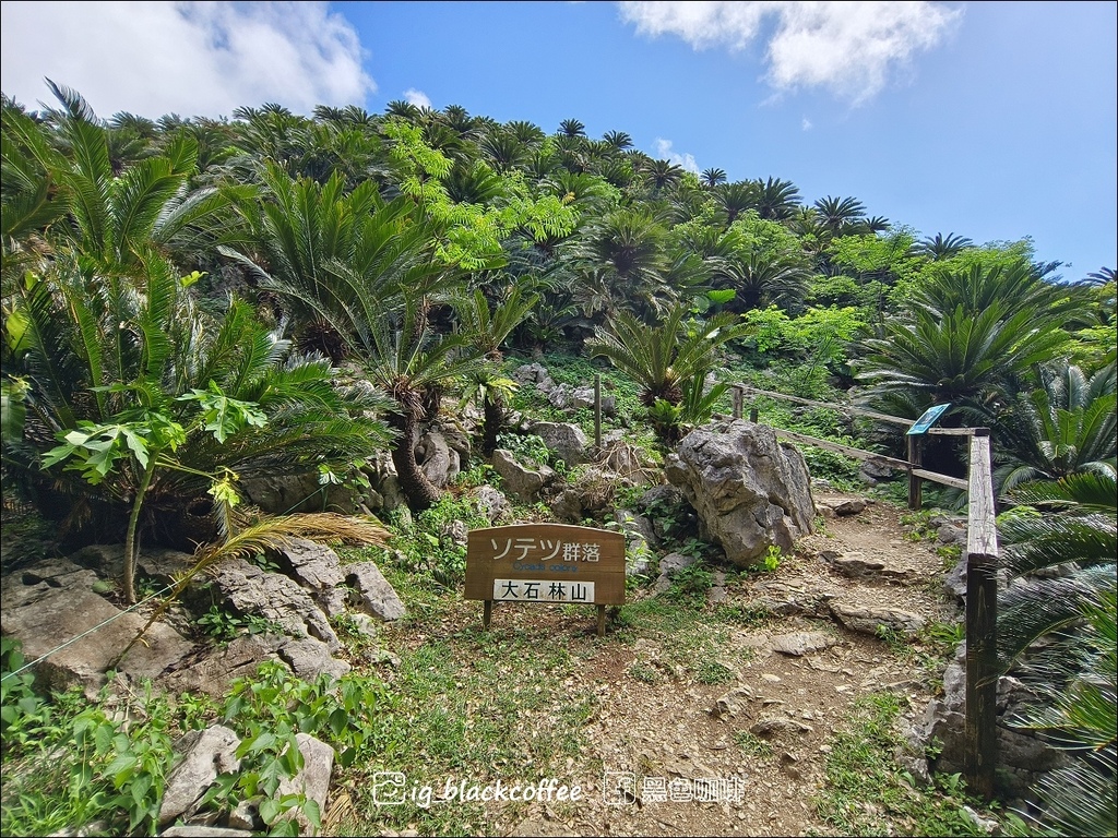【沖繩.北部】山原國立公園.大石林山,4條路線完整介紹 【沖繩.北部】山原國立公園.大石林山,4條路線完整介紹
