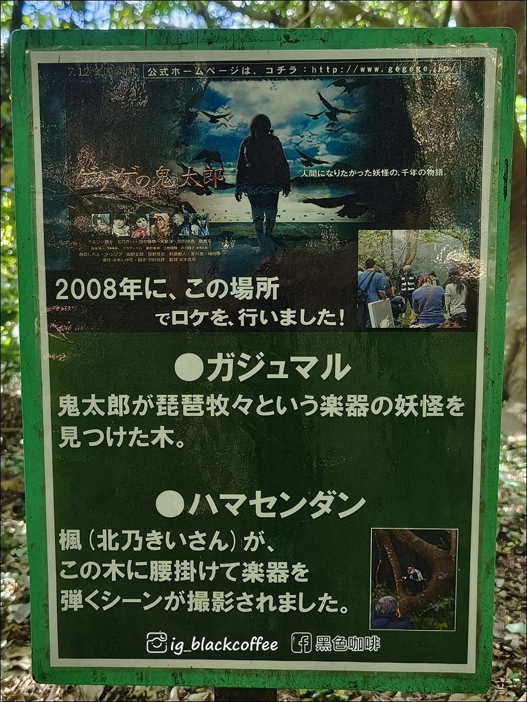 【沖繩.北部】山原國立公園.大石林山,4條路線完整介紹 【沖繩.北部】山原國立公園.大石林山,4條路線完整介紹