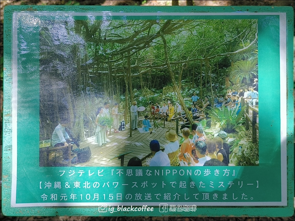 【沖繩.北部】山原國立公園.大石林山,4條路線完整介紹 【沖繩.北部】山原國立公園.大石林山,4條路線完整介紹