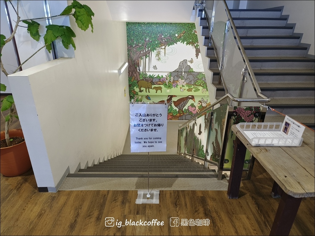 【沖繩.北部】山原國立公園.大石林山,4條路線完整介紹 【沖繩.北部】山原國立公園.大石林山,4條路線完整介紹