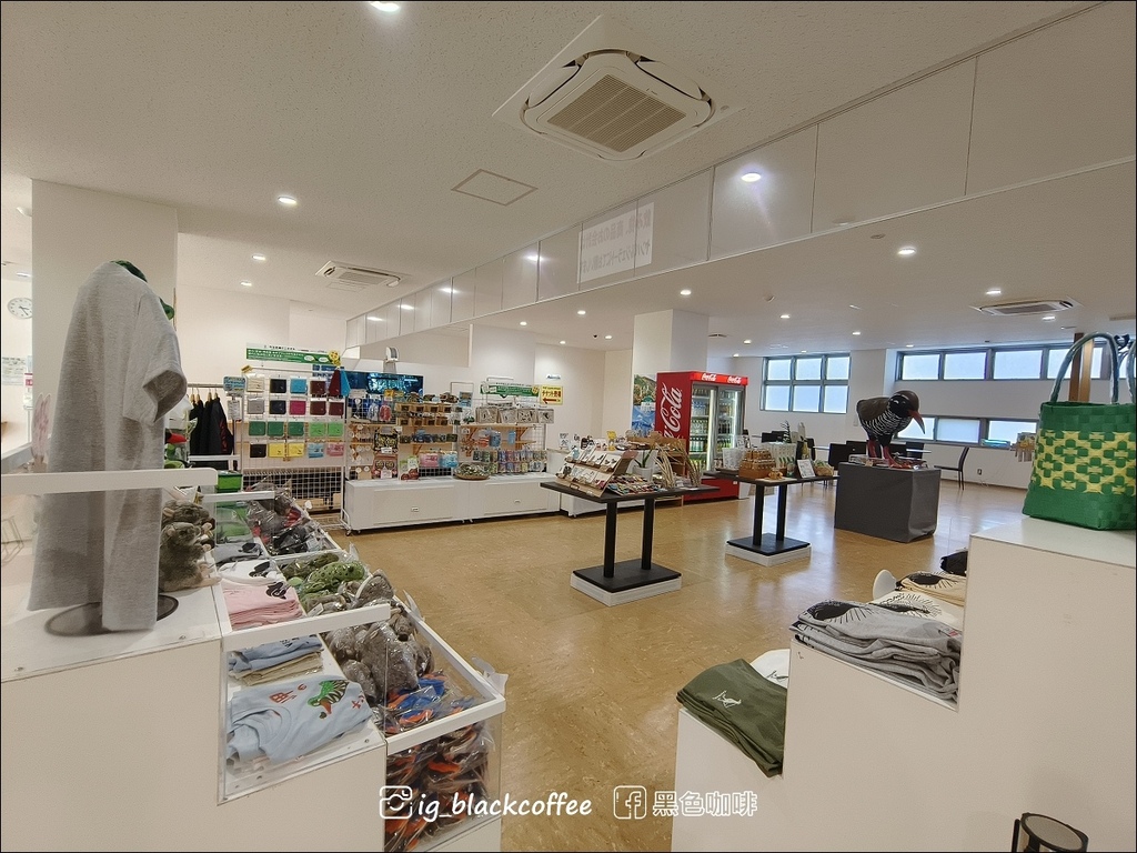 【沖繩.北部】山原國立公園.大石林山,4條路線完整介紹 【沖繩.北部】山原國立公園.大石林山,4條路線完整介紹