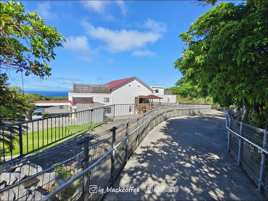 【沖繩.北部】山原國立公園.大石林山,4條路線完整介紹 【沖繩.北部】山原國立公園.大石林山,4條路線完整介紹