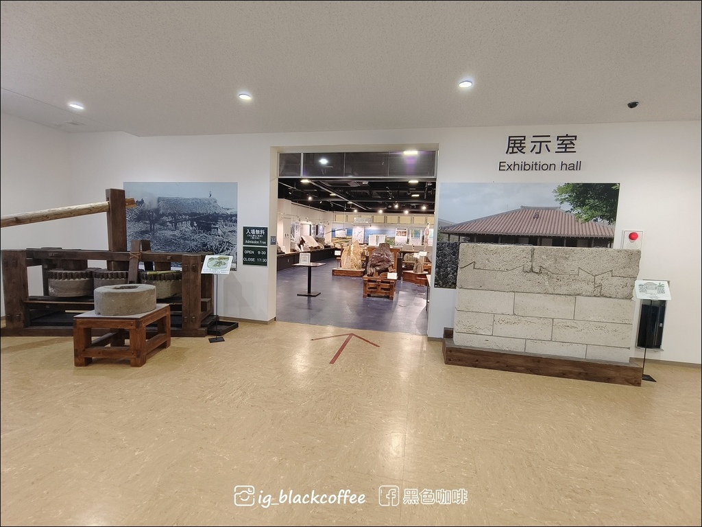 【沖繩.北部】山原國立公園.大石林山,4條路線完整介紹 【沖繩.北部】山原國立公園.大石林山,4條路線完整介紹