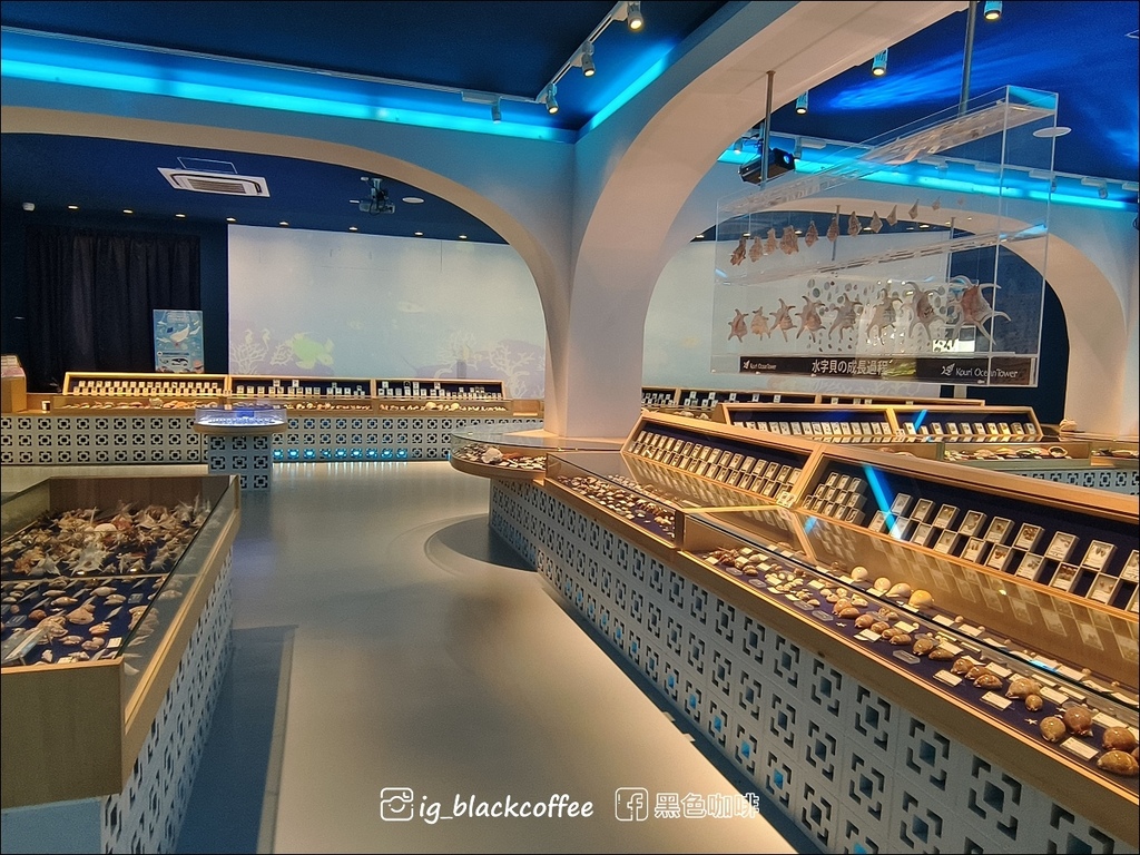 【沖繩．北部】古宇利海洋塔Ocean Tower．登上塔頂發