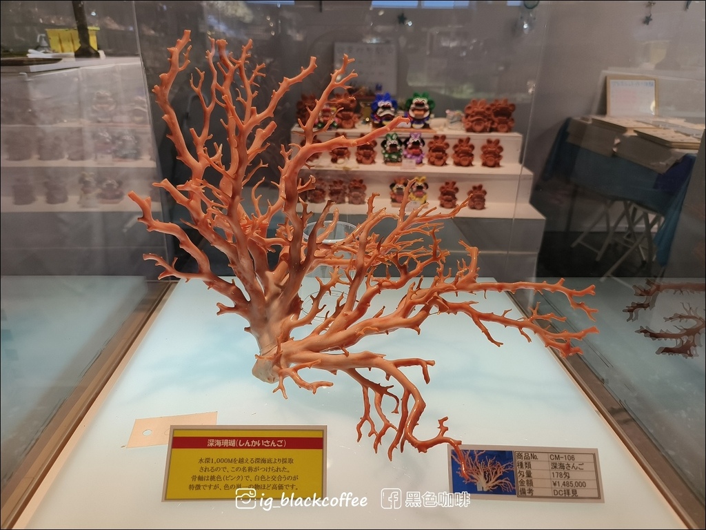 【沖繩．北部】古宇利海洋塔Ocean Tower．登上塔頂發