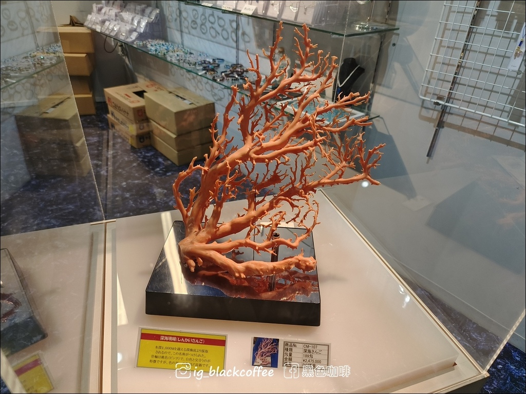 【沖繩．北部】古宇利海洋塔Ocean Tower．登上塔頂發