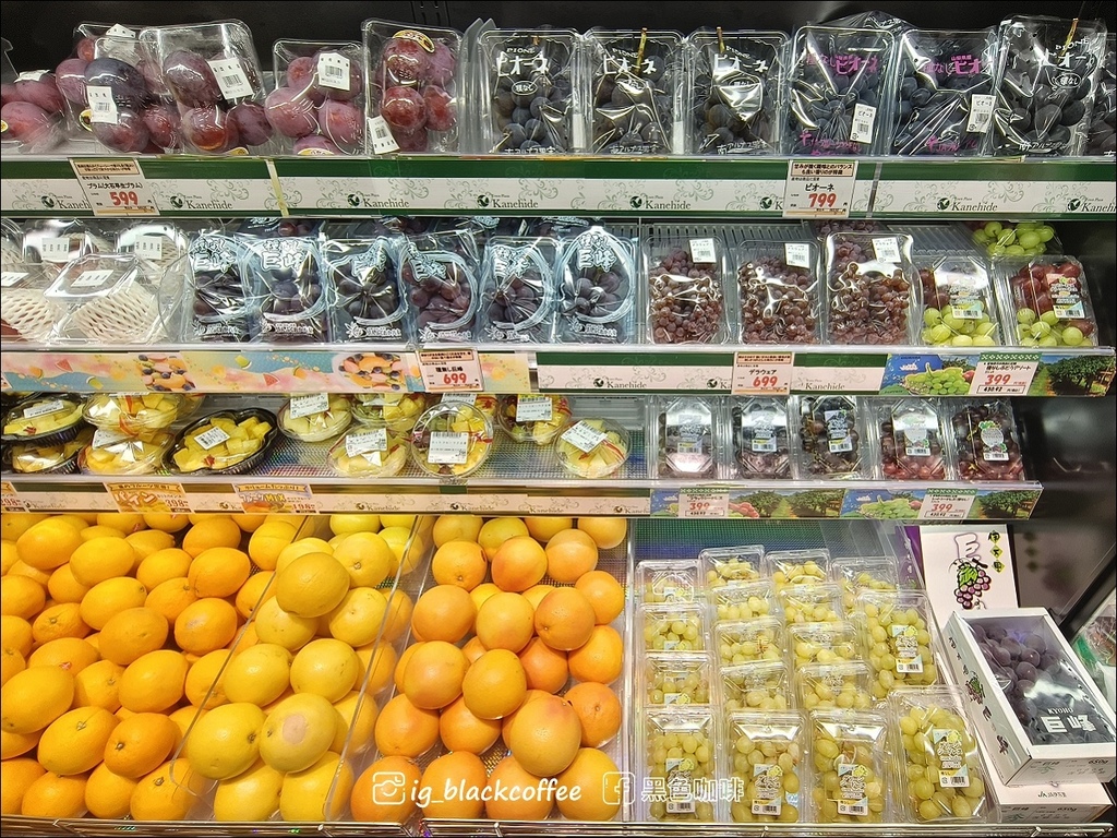 【沖繩．北部】今歸仁布耶納維斯塔度假村飯店 (Resort