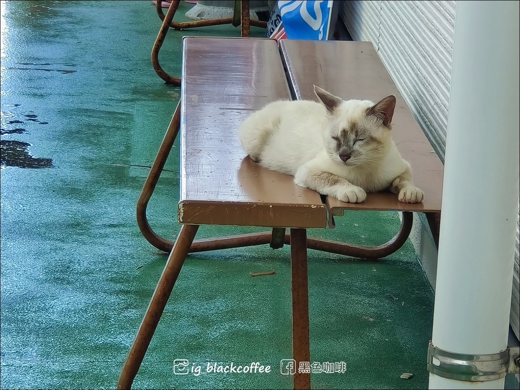 【沖繩．中部】奧武島｜來貓咪之島大啖現炸天婦羅、新鮮生魚片丼