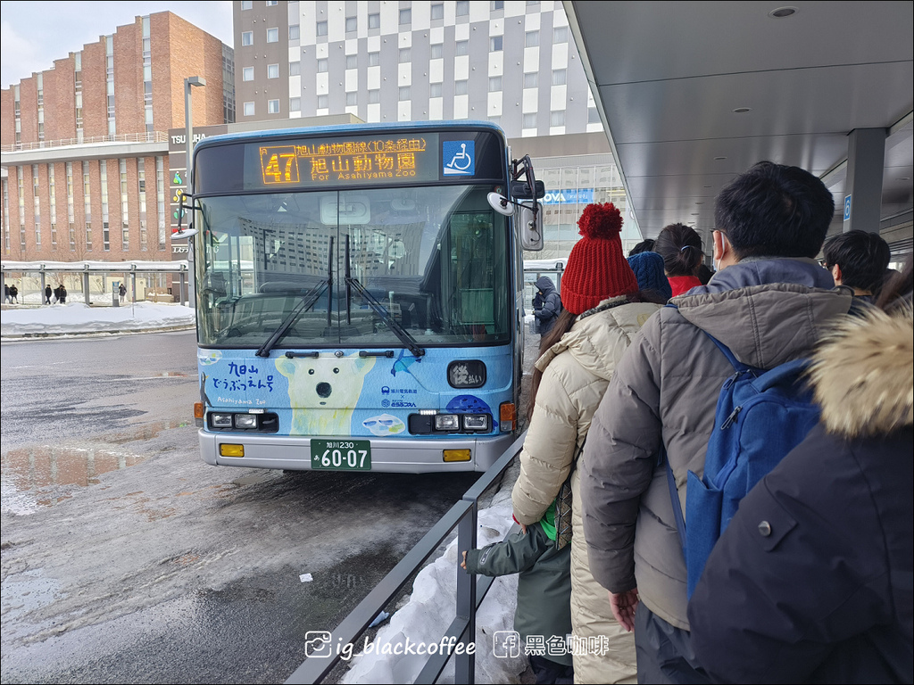 《遊》【北海道.旭川】旭山動物園.冬季限定 - 超可愛的企鵝 《遊》【北海道.旭川】旭山動物園.冬季限定 - 超可愛的企鵝
