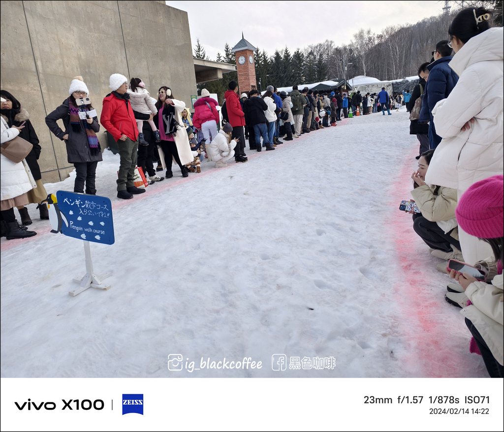《遊》【北海道.旭川】旭山動物園.冬季限定 - 超可愛的企鵝 《遊》【北海道.旭川】旭山動物園.冬季限定 - 超可愛的企鵝