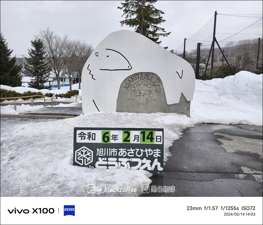 《遊》【北海道.旭川】旭山動物園.冬季限定 - 超可愛的企鵝 《遊》【北海道.旭川】旭山動物園.冬季限定 - 超可愛的企鵝