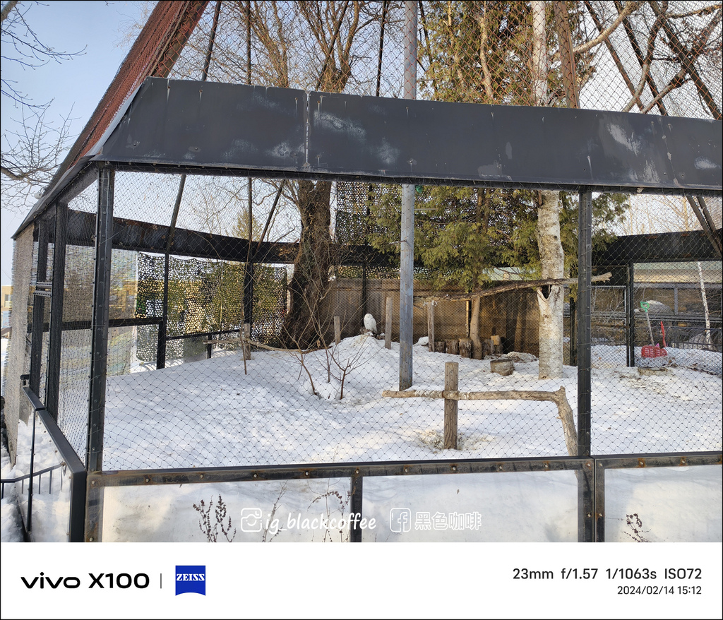 《遊》【北海道.旭川】旭山動物園.冬季限定 - 超可愛的企鵝 《遊》【北海道.旭川】旭山動物園.冬季限定 - 超可愛的企鵝