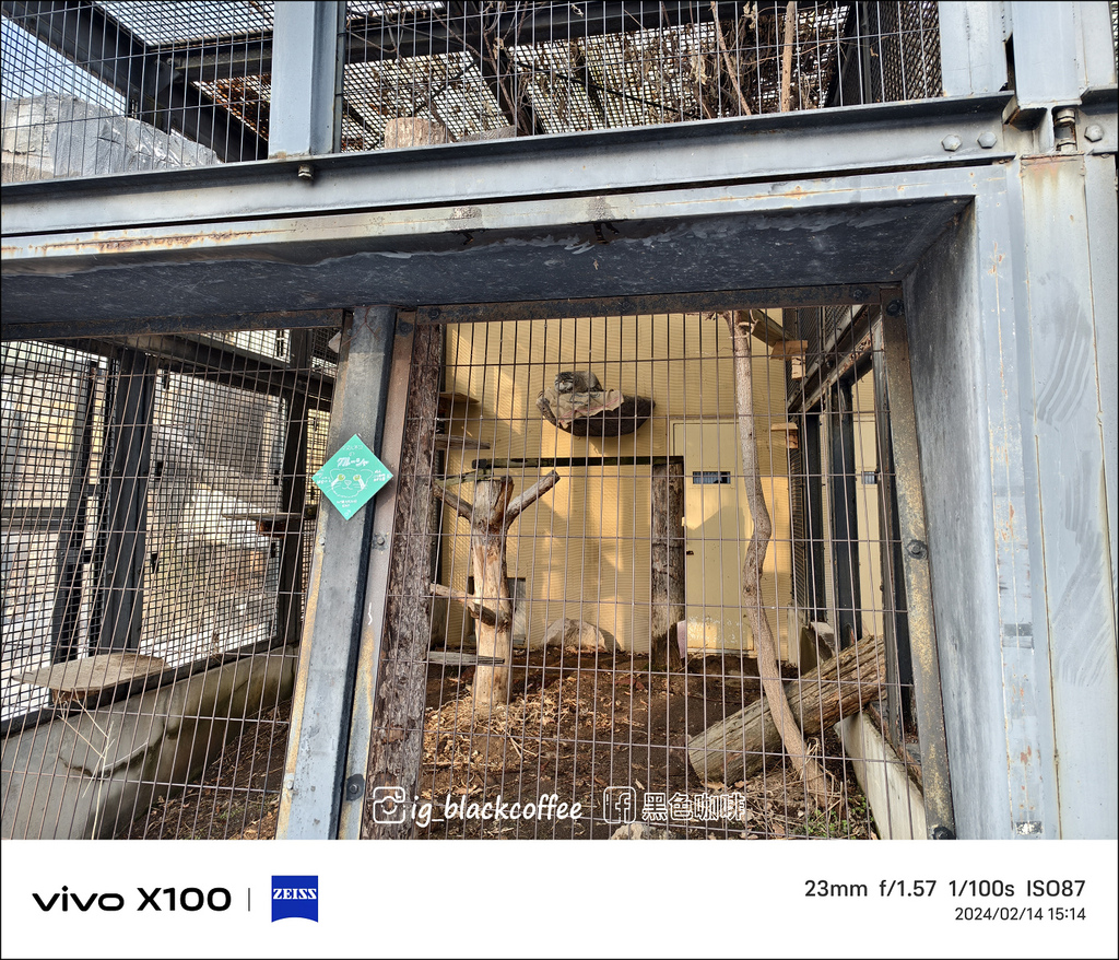 《遊》【北海道.旭川】旭山動物園.冬季限定 - 超可愛的企鵝 《遊》【北海道.旭川】旭山動物園.冬季限定 - 超可愛的企鵝